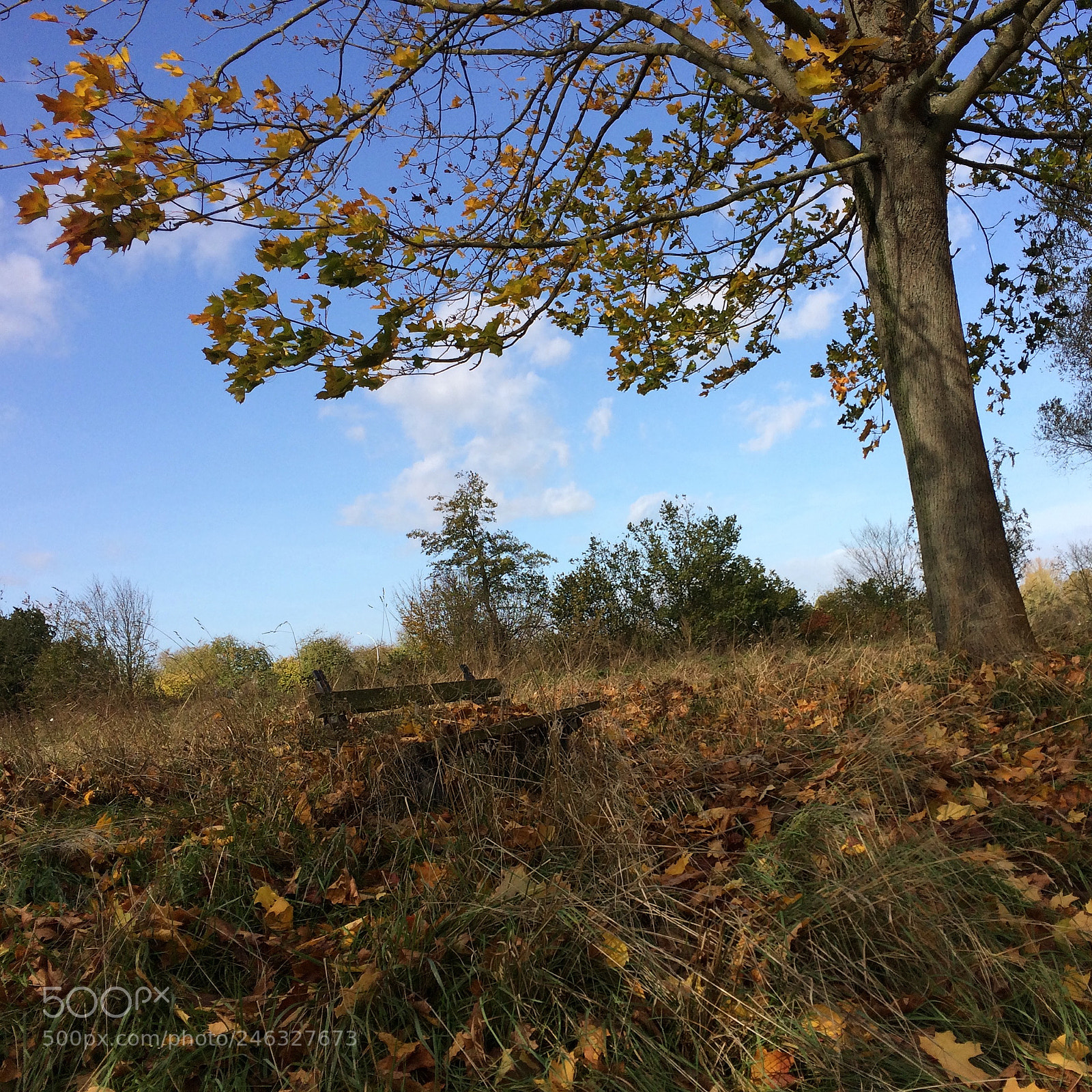 Apple iPhone 5s sample photo. Untitled photography