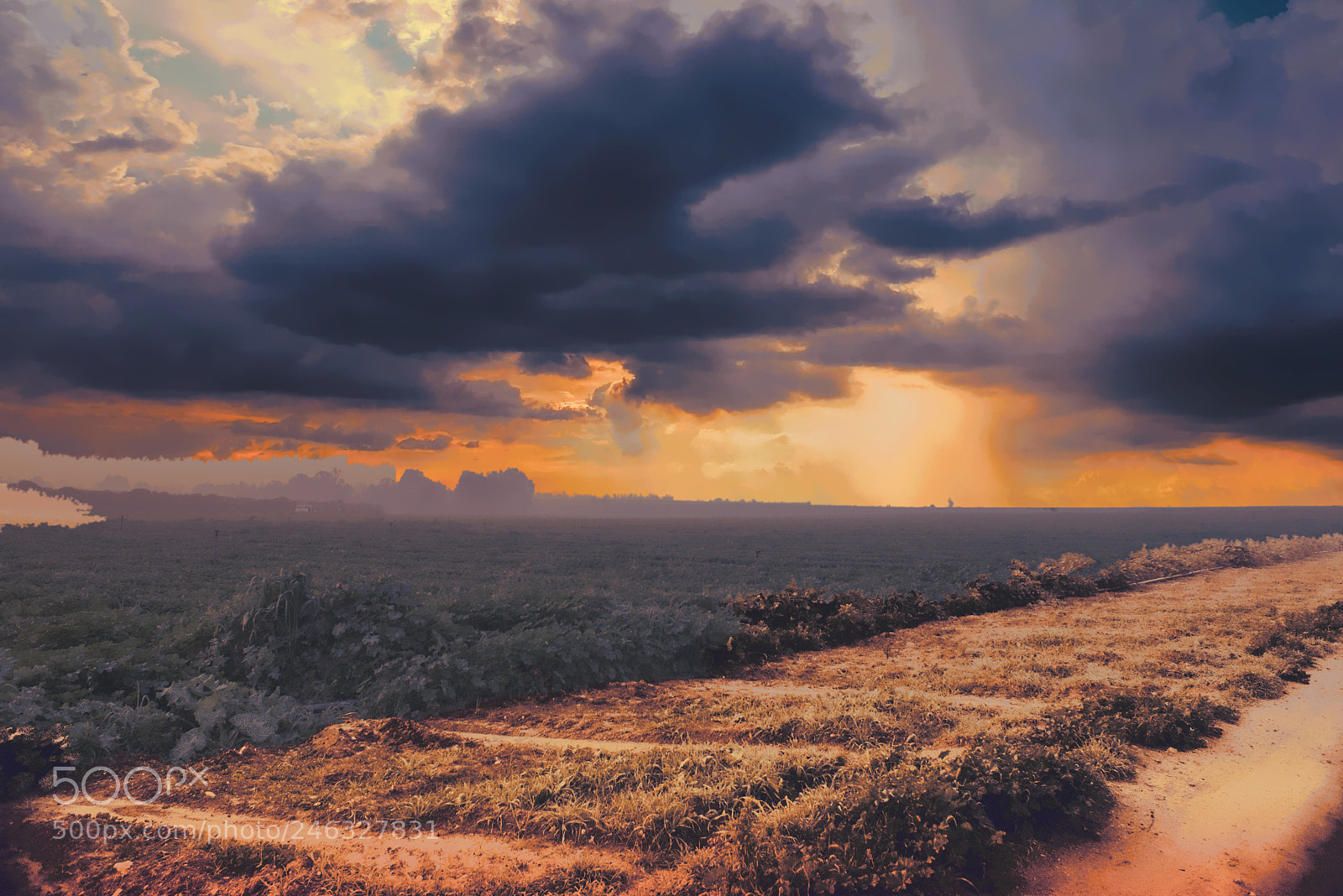 Nikon D800 sample photo. Morning photography