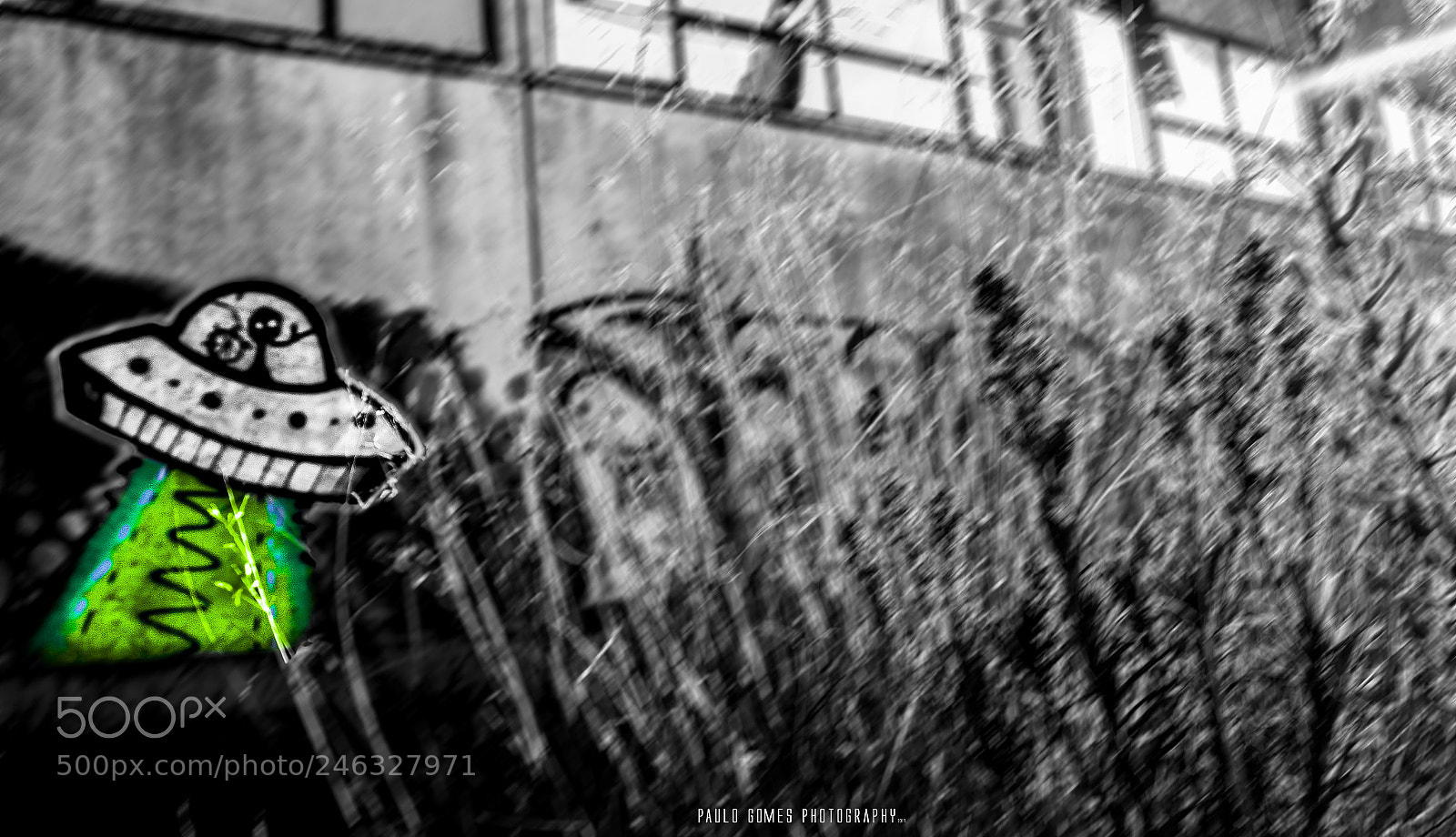 Nikon 1 J5 sample photo. Disco voador [flying saucer] photography