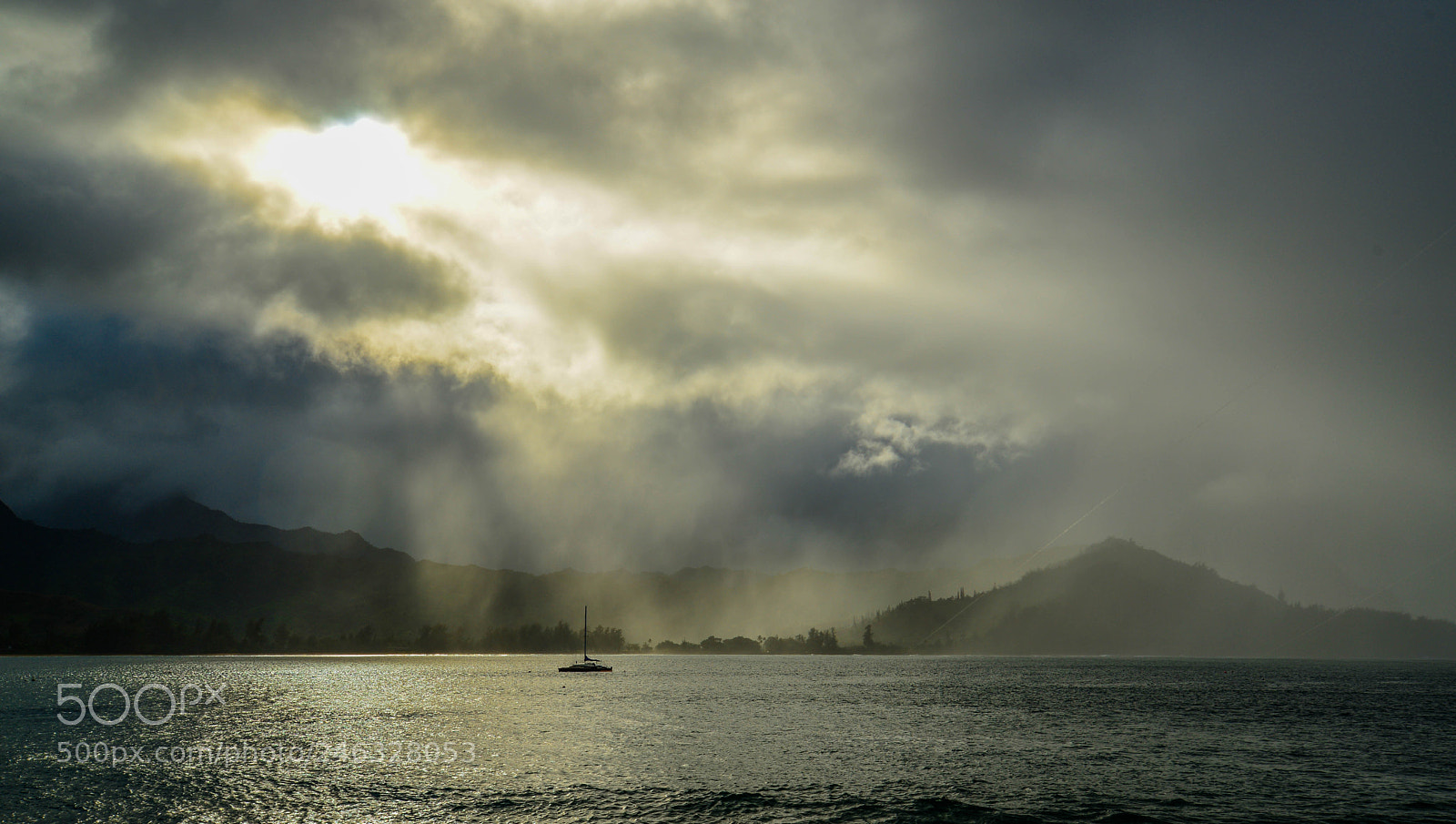 Nikon D610 sample photo. Sunrays photography