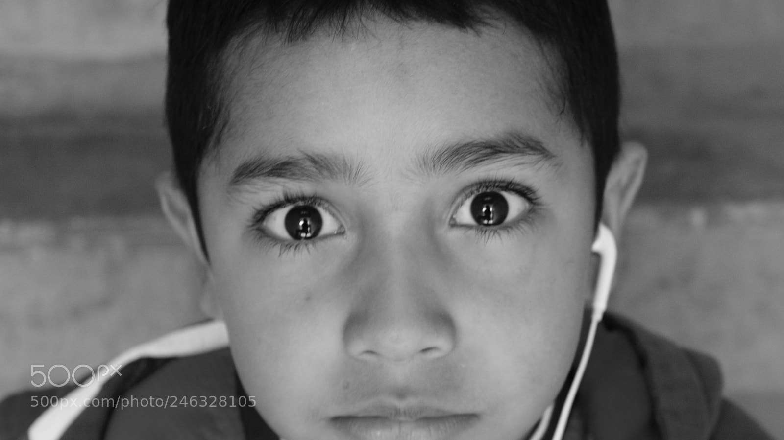 Sony DT 18-70mm F3.5-5.6 sample photo. Big eyes photography