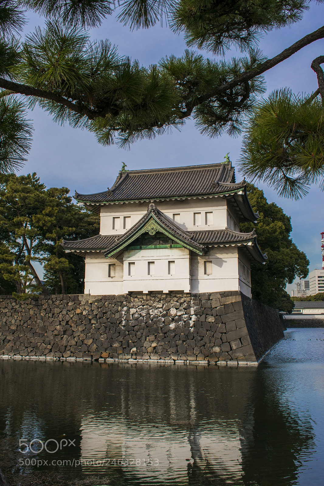 Nikon D3400 sample photo. The imperial palace grounds  photography