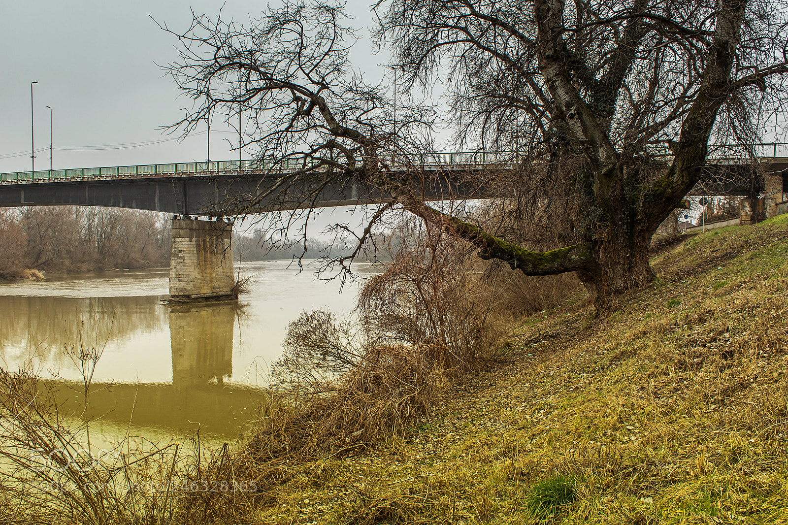 Canon EOS 750D (EOS Rebel T6i / EOS Kiss X8i) sample photo. Bridge with the wooden photography