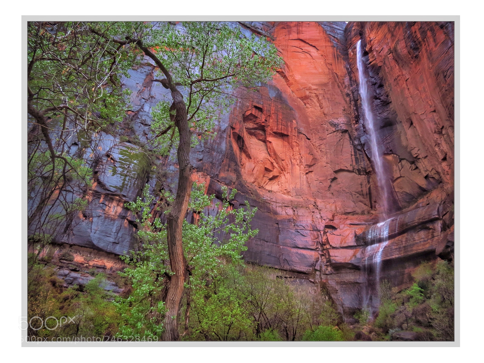Canon PowerShot SX40 HS sample photo. Zion spring photography