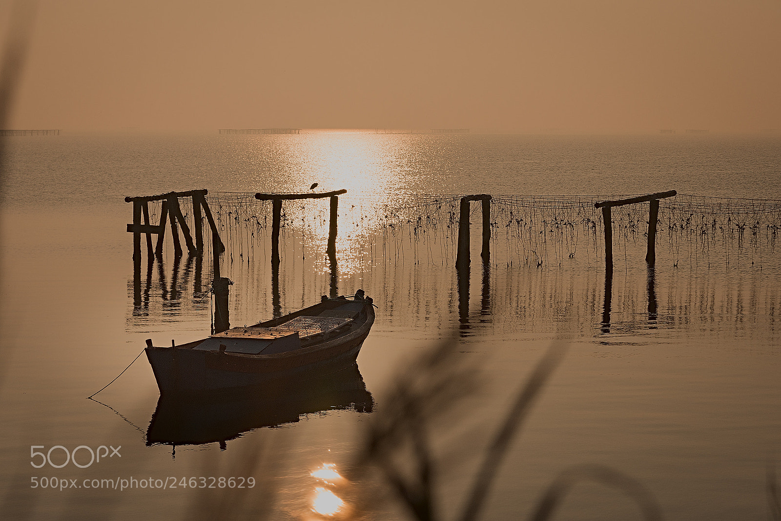 Nikon D7200 sample photo. Sacca di scardovari photography
