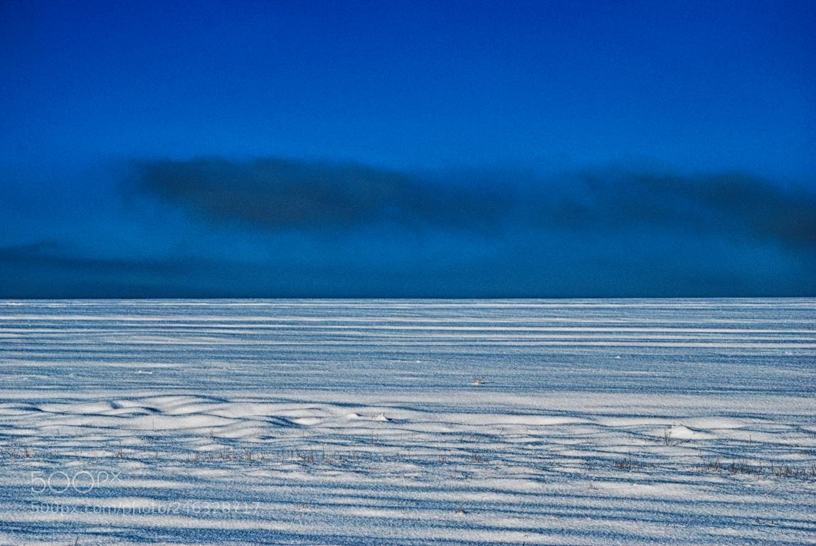 Nikon D60 sample photo. Winter colors photography