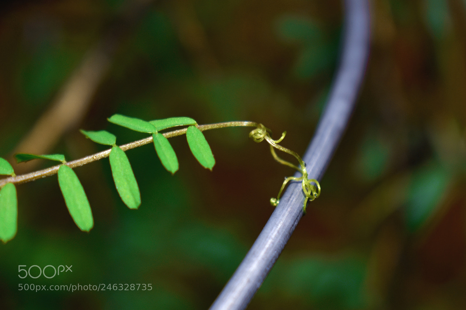 Nikon D3400 sample photo. Holding on tight photography