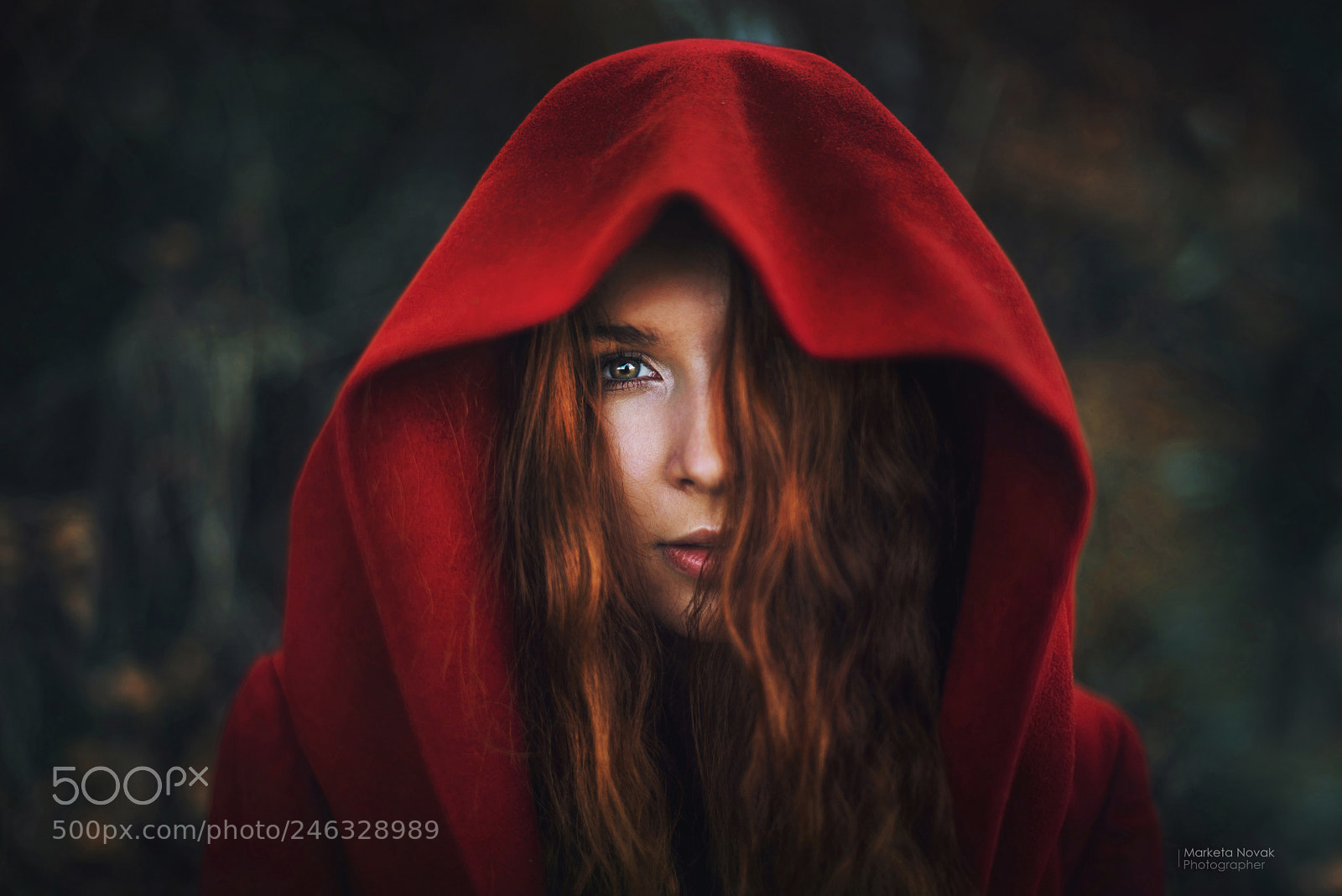 Nikon D610 sample photo. Red riding hood... photography
