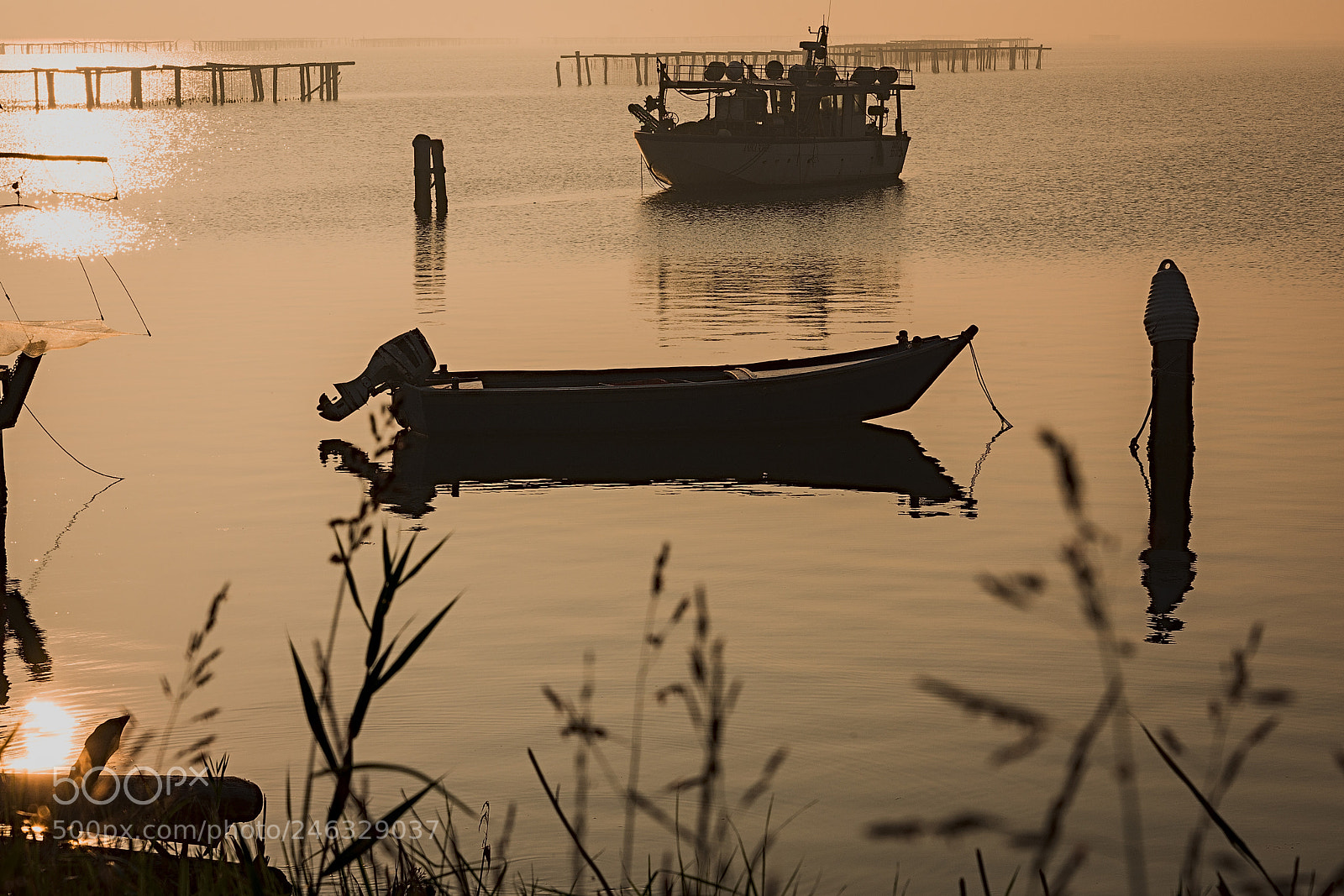 Nikon D7200 sample photo. Sacca di scardovari photography