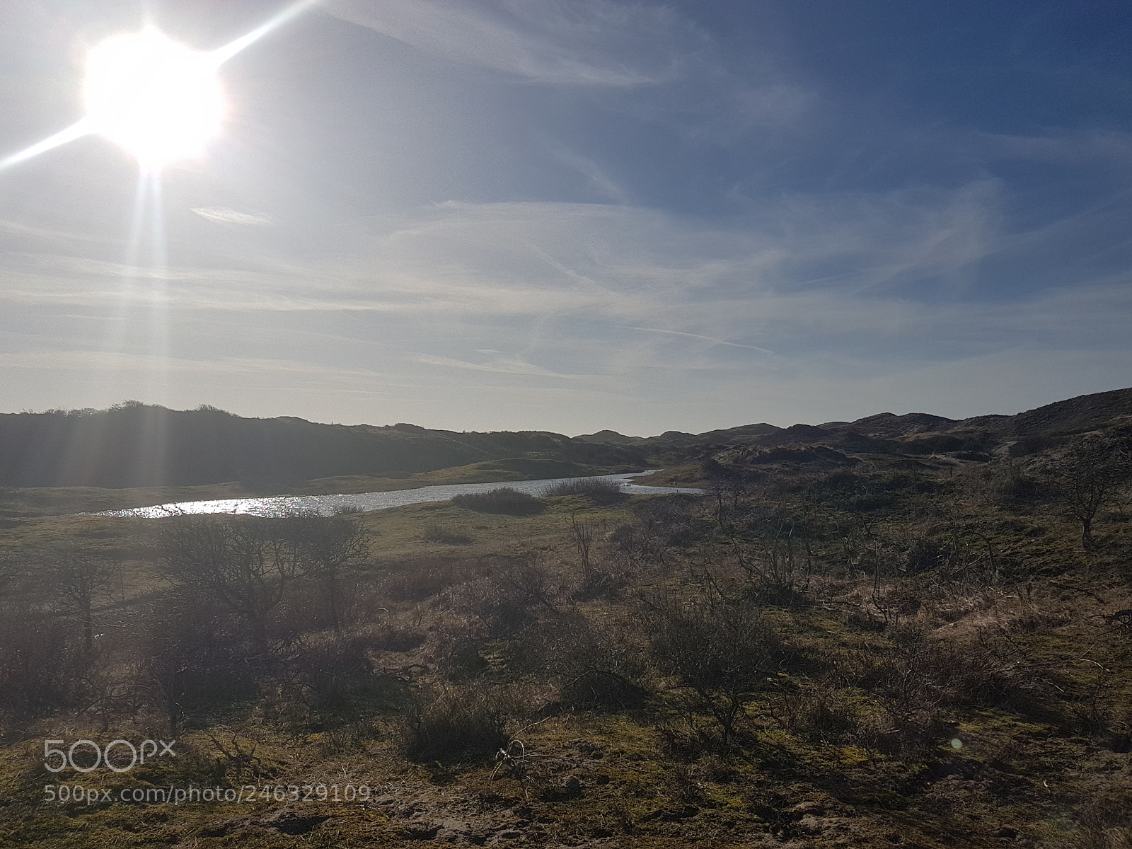 Samsung Galaxy S7 Edge sample photo. Beautifull dutch dunes photography
