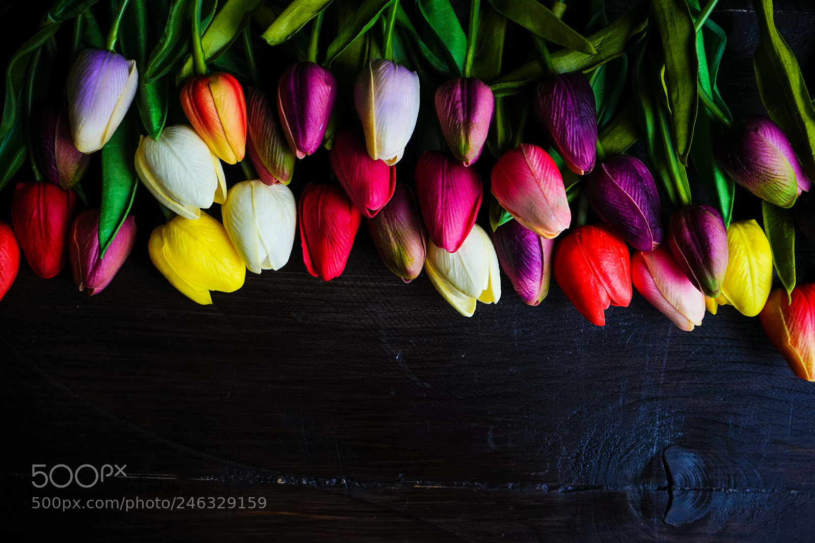 Sony a7 sample photo. Easter concept with tulips photography