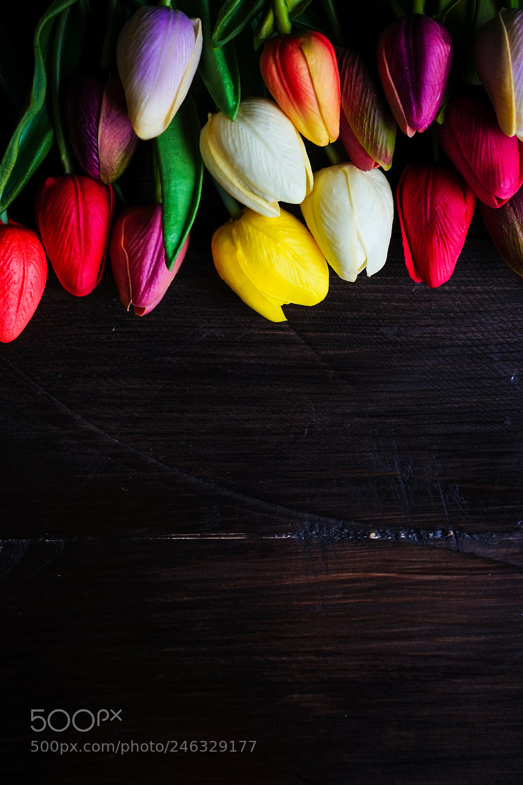 Sony a7 sample photo. Easter concept with tulips photography
