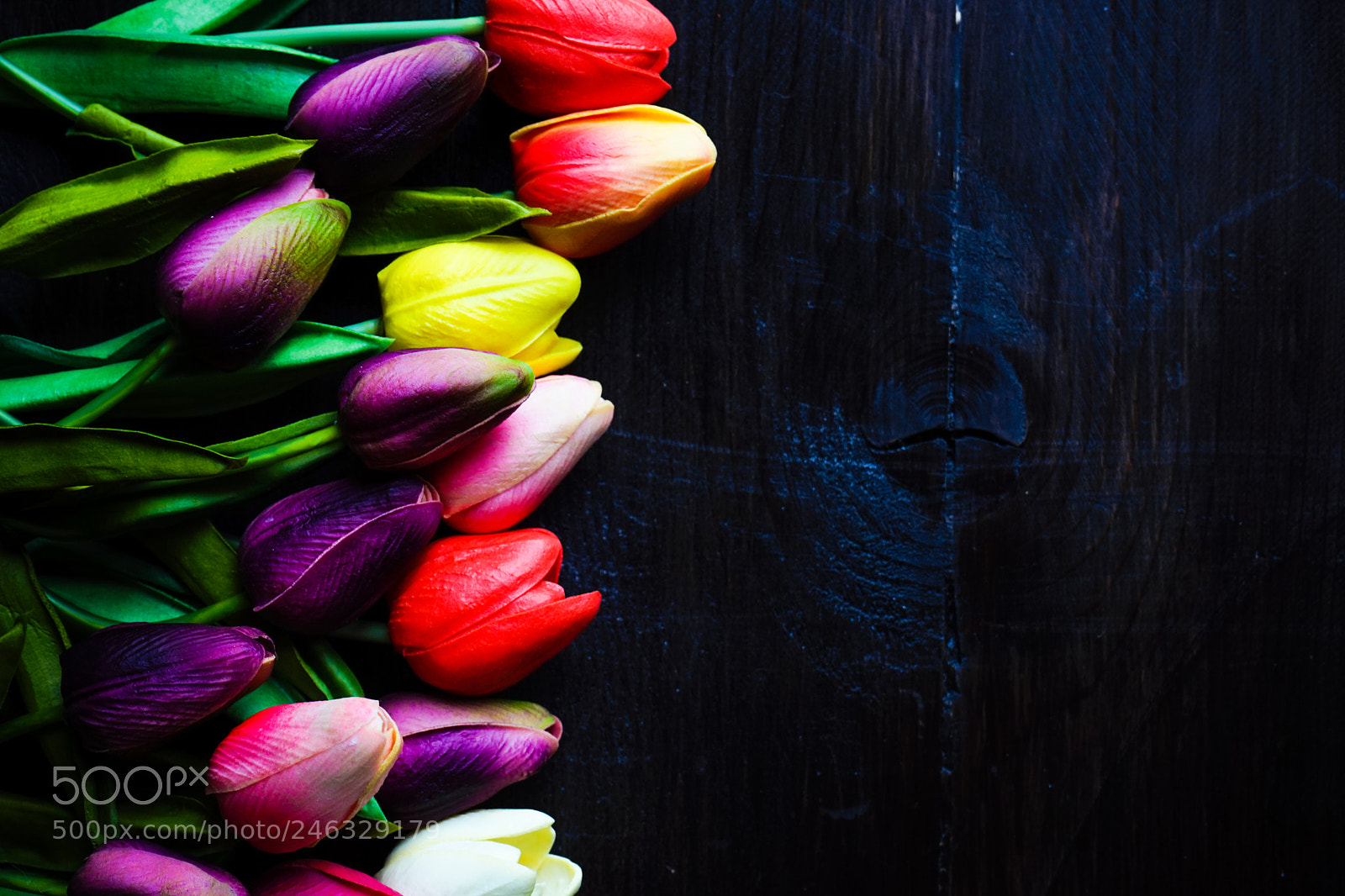 Sony a7 sample photo. Easter concept with tulips photography