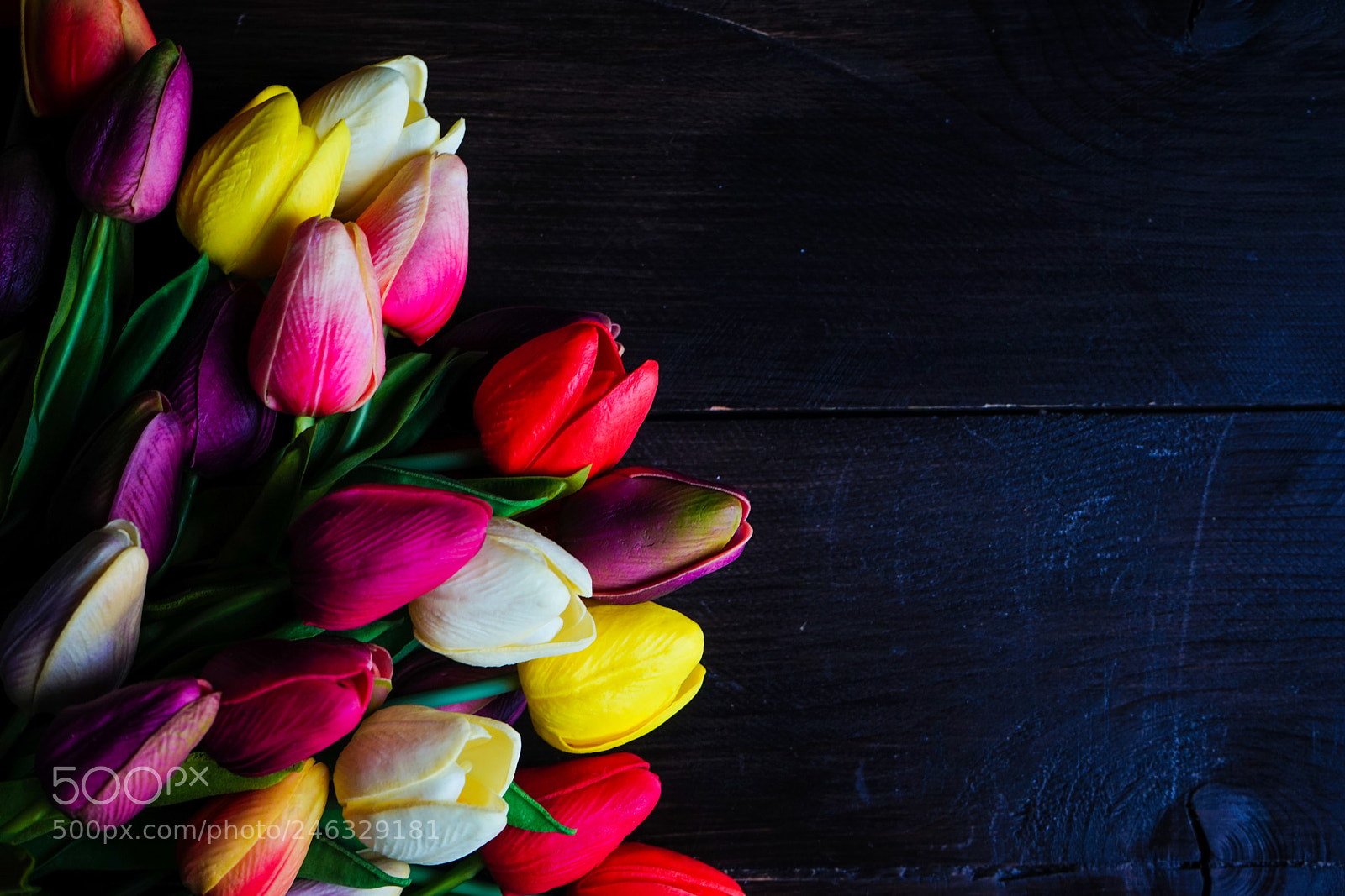 Sony a7 sample photo. Easter concept with tulips photography