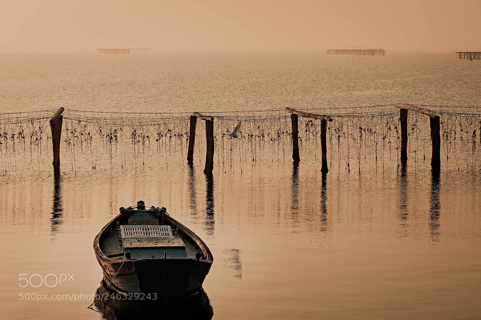 Nikon D7200 sample photo. Solitudine in mare photography