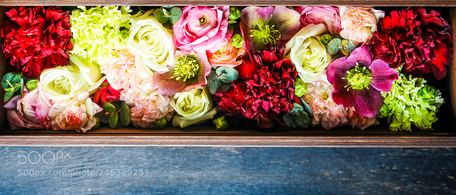 Sony a7 sample photo. Card concept with flowers photography