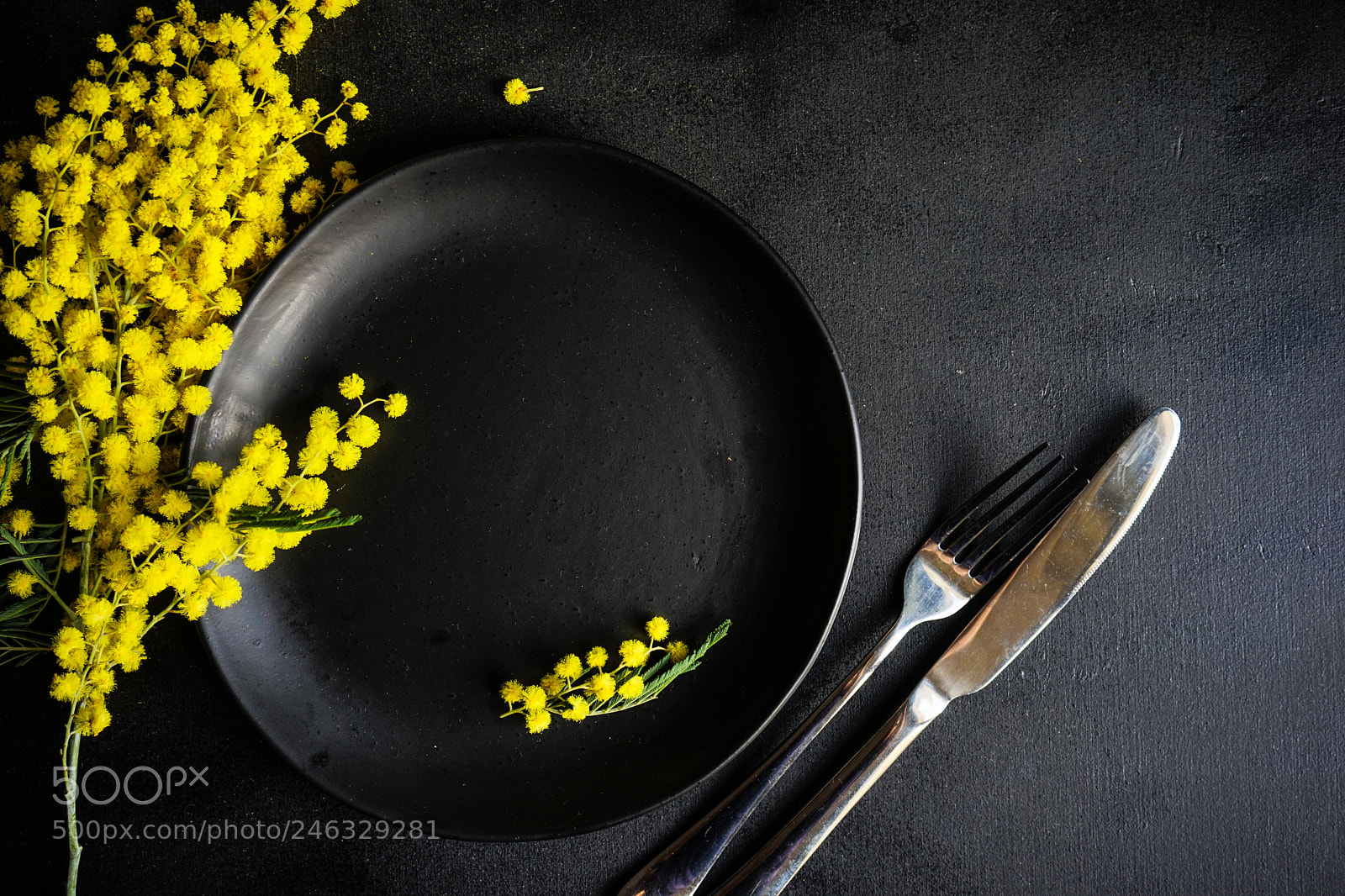 Sony a7 sample photo. Easter concept with mimosa photography
