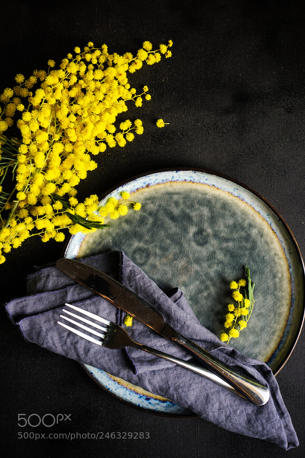 Sony a7 sample photo. Easter concept with mimosa photography