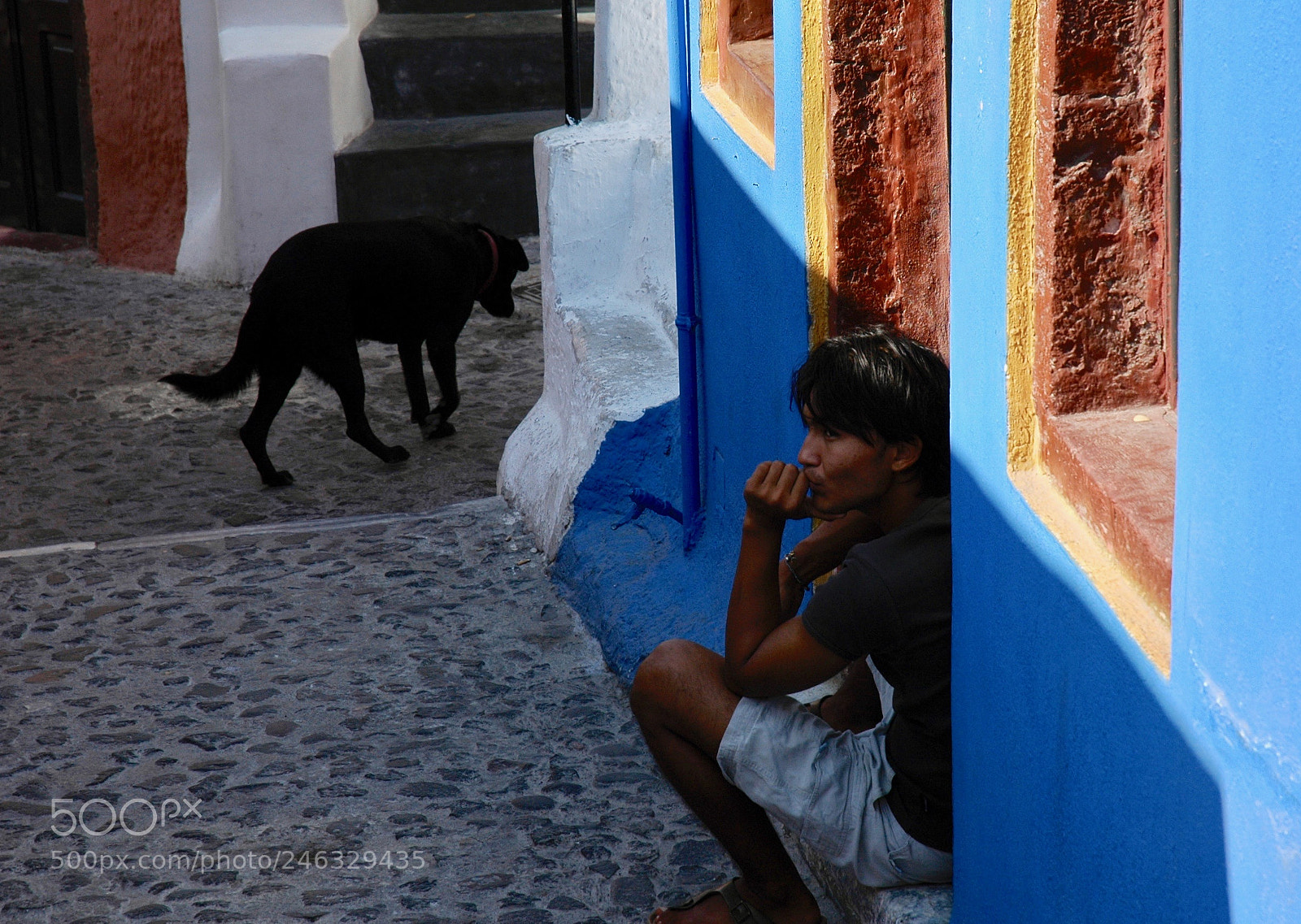 Nikon D70s sample photo. Untitled photography