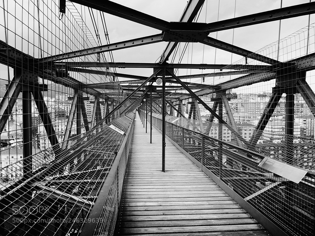 Olympus OM-D E-M5 sample photo. Vizcaya bridge photography