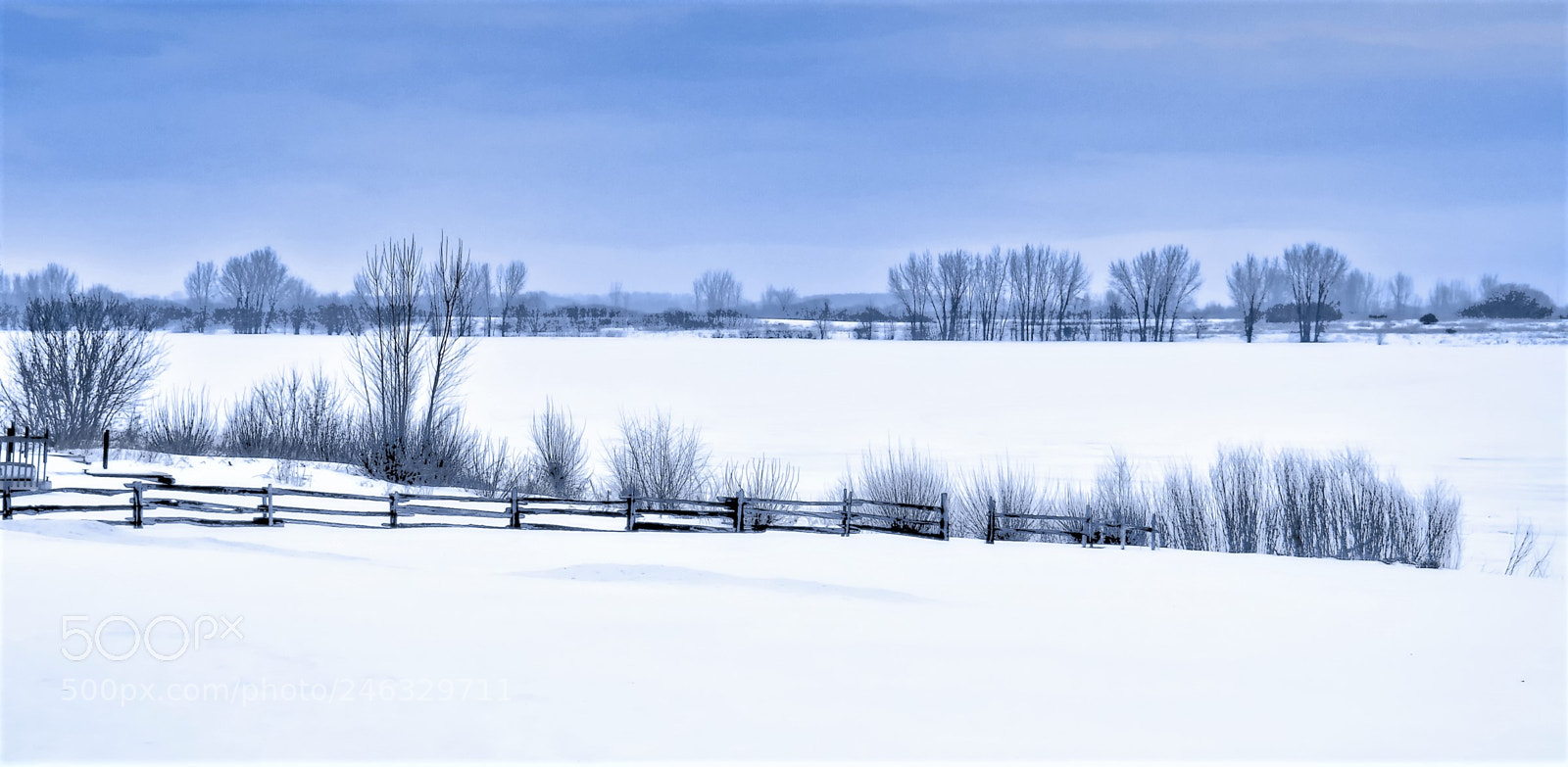 Olympus OM-D E-M10 II sample photo. Winter landscape photography