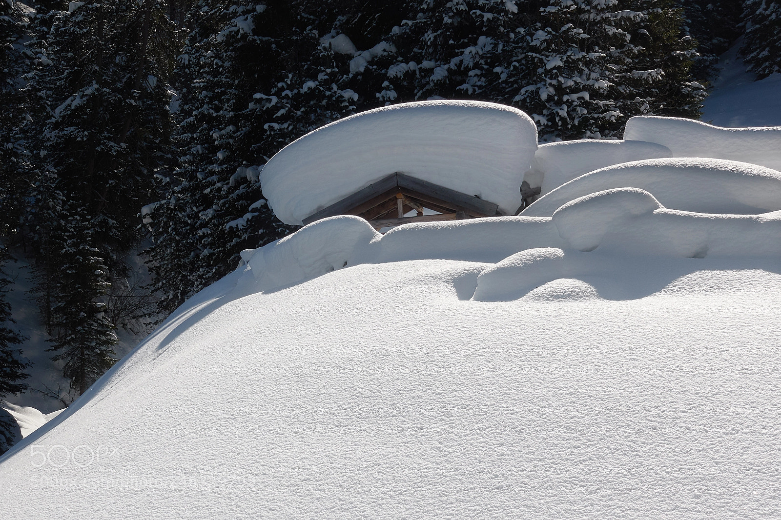 Sony DSC-RX100M5 sample photo. Big, big snow photography
