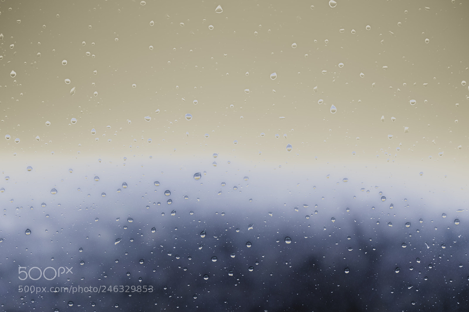 Sony a7 sample photo. Rain drops photography