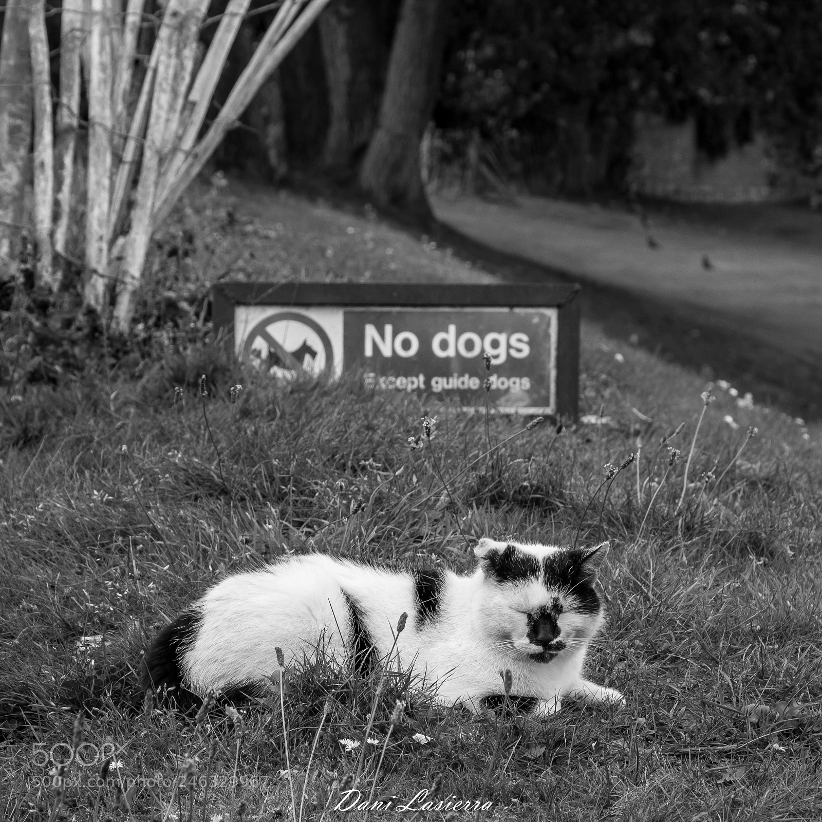 Canon EOS 60D sample photo. Untitled photography