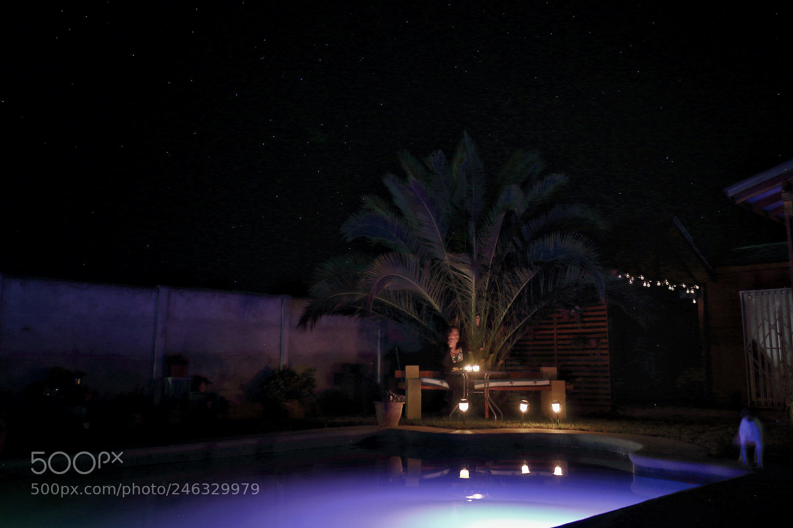 Canon EOS 1200D (EOS Rebel T5 / EOS Kiss X70 / EOS Hi) sample photo. Disfrutando la noche photography