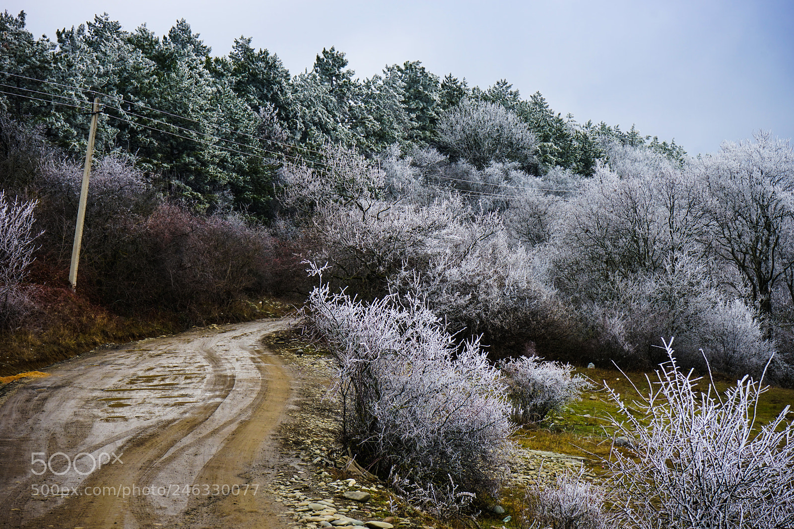 Sony a7 sample photo. Winter outside of the photography