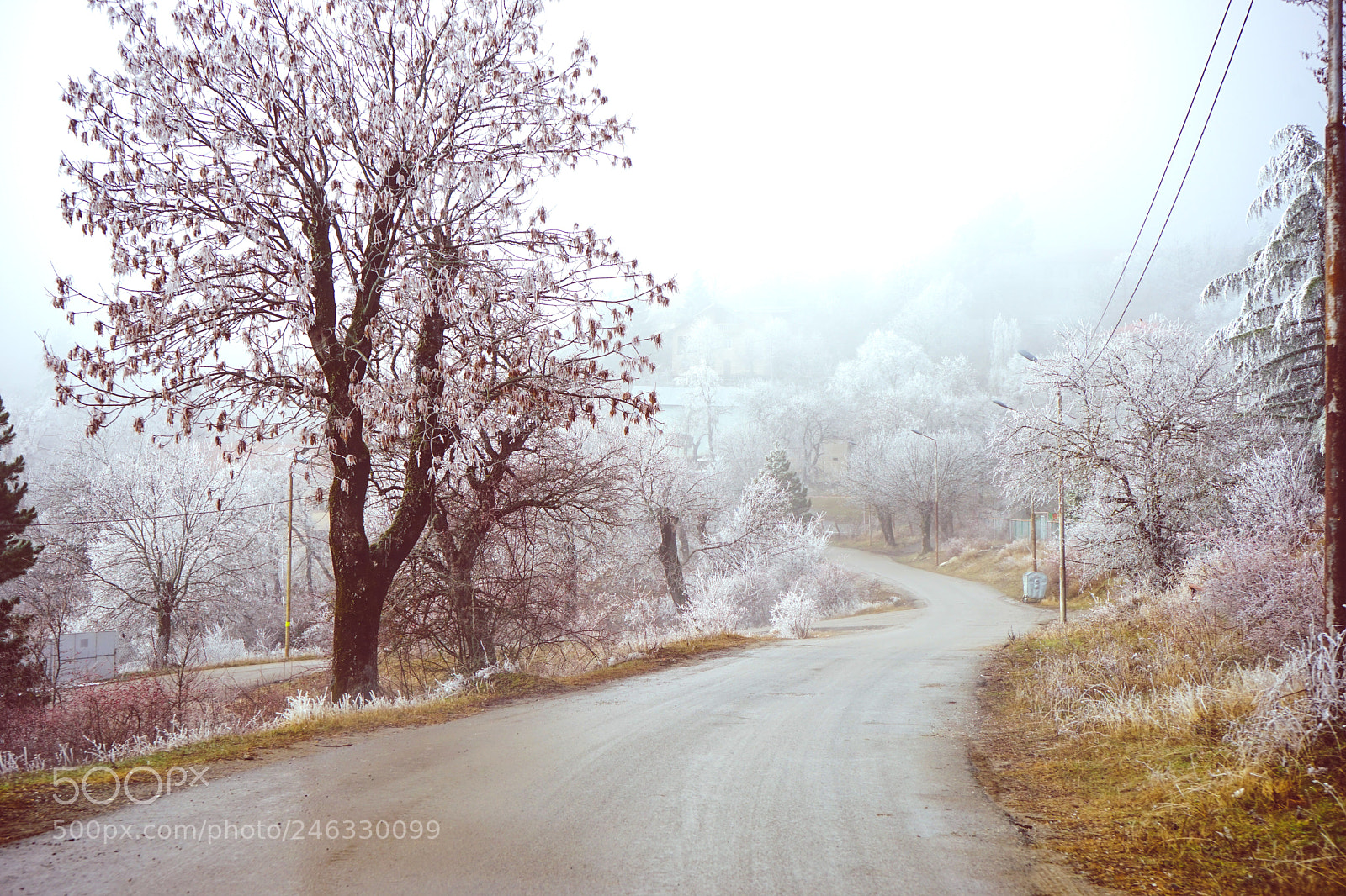 Sony a7 sample photo. Winter outside of the photography