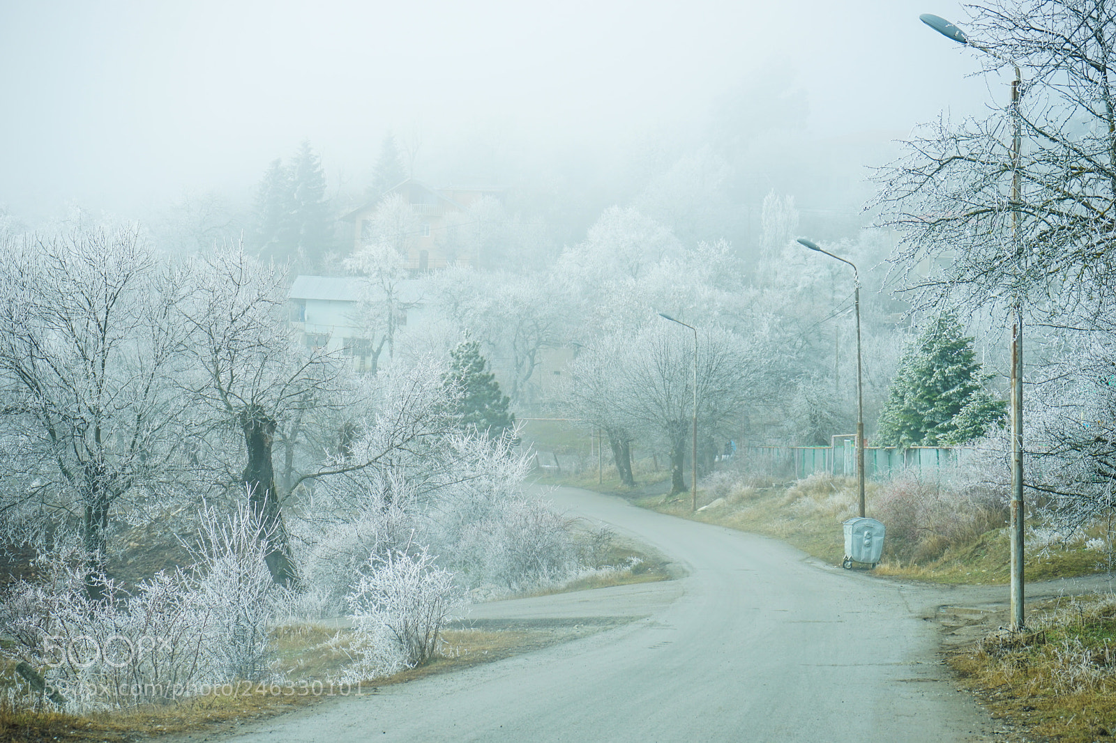 Sony a7 sample photo. Winter outside of the photography