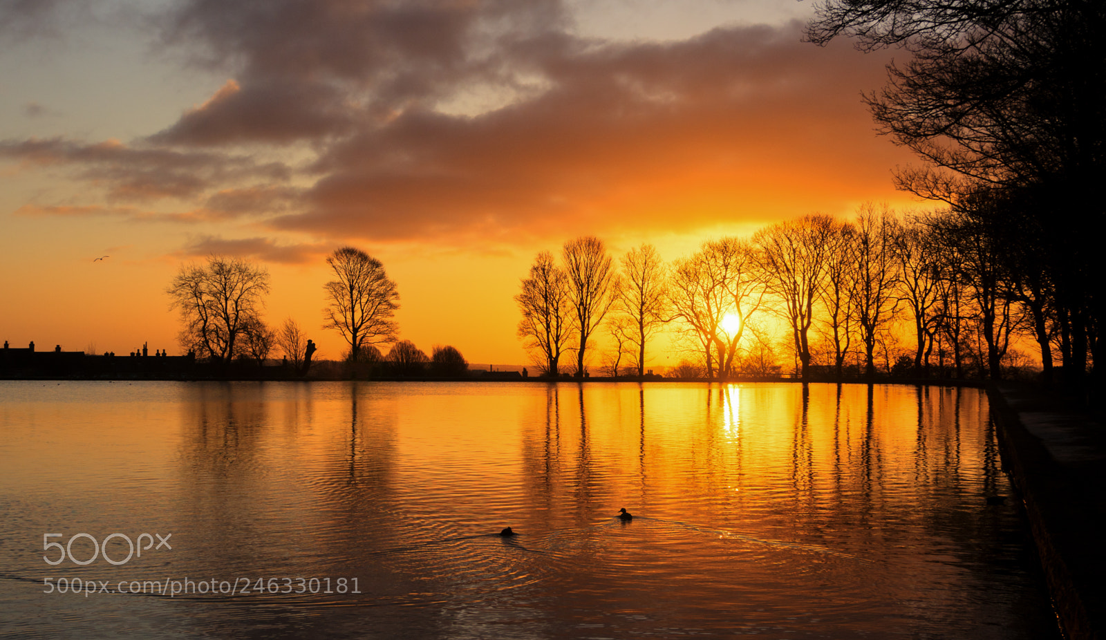 Olympus OM-D E-M10 II sample photo. Sunrise over bradford photography