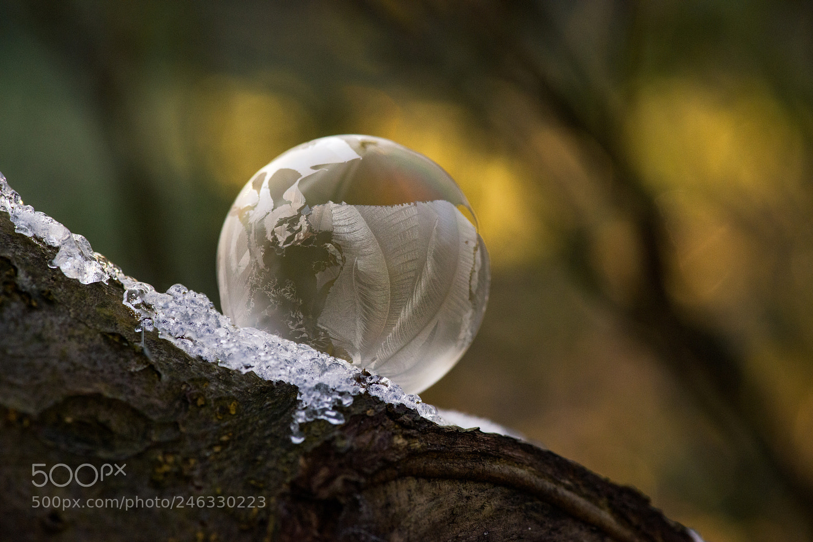Nikon D800 sample photo. Frozen bubble in warm photography