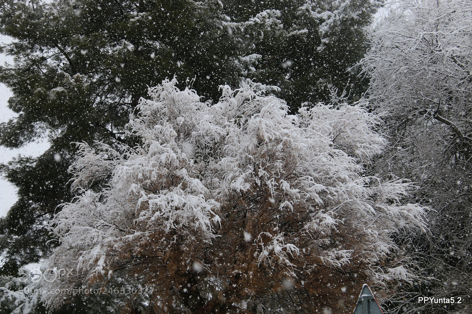 Canon EF-S 18-200mm F3.5-5.6 IS sample photo. Nevada () () photography