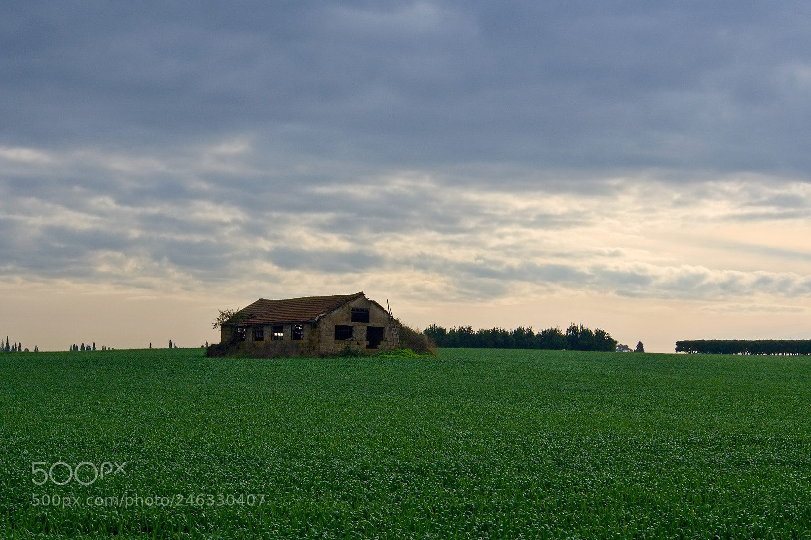 Olympus OM-D E-M10 sample photo. Old abandoned farm house photography