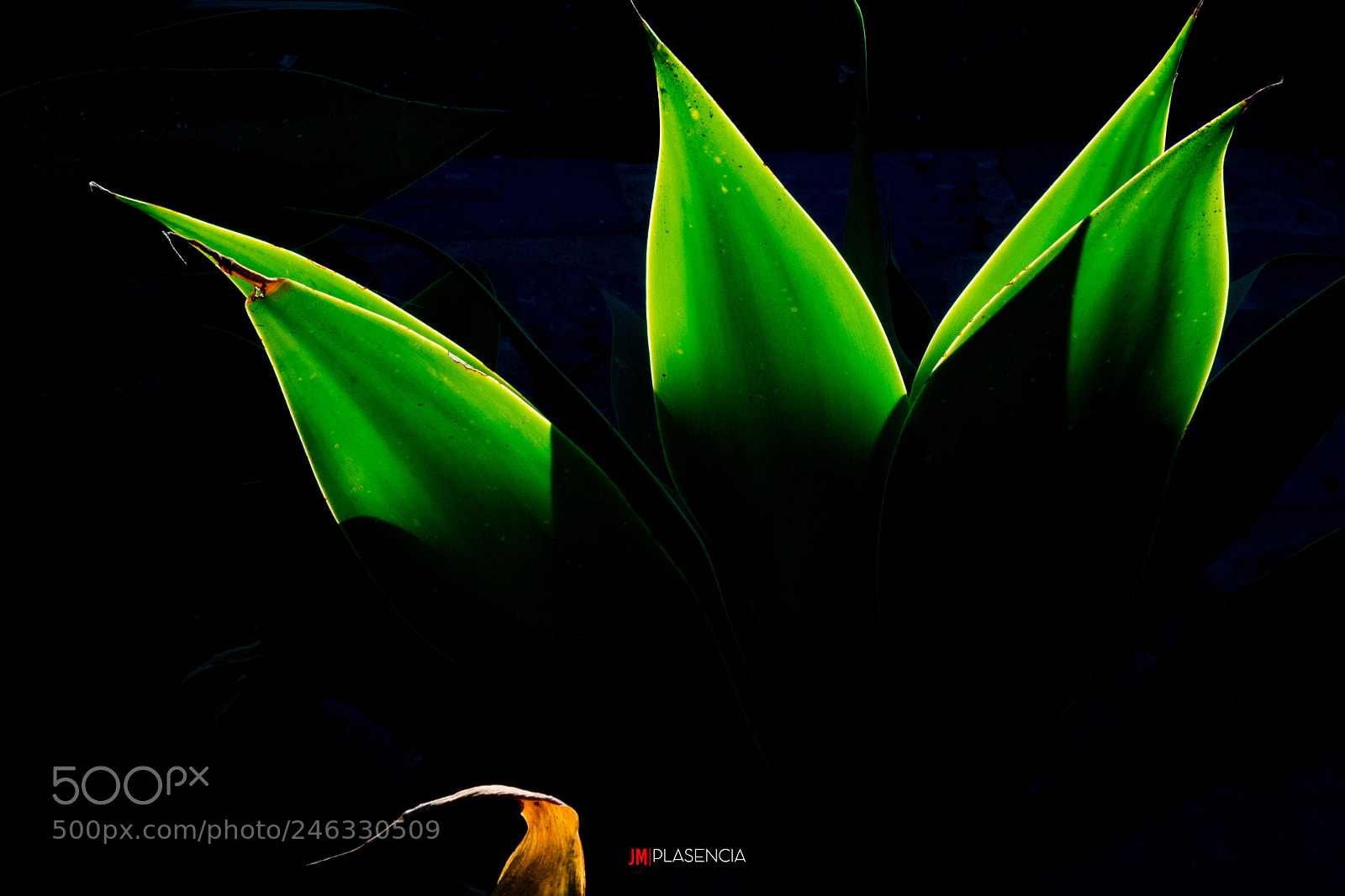 Nikon D7500 sample photo. Lights and shadows photography