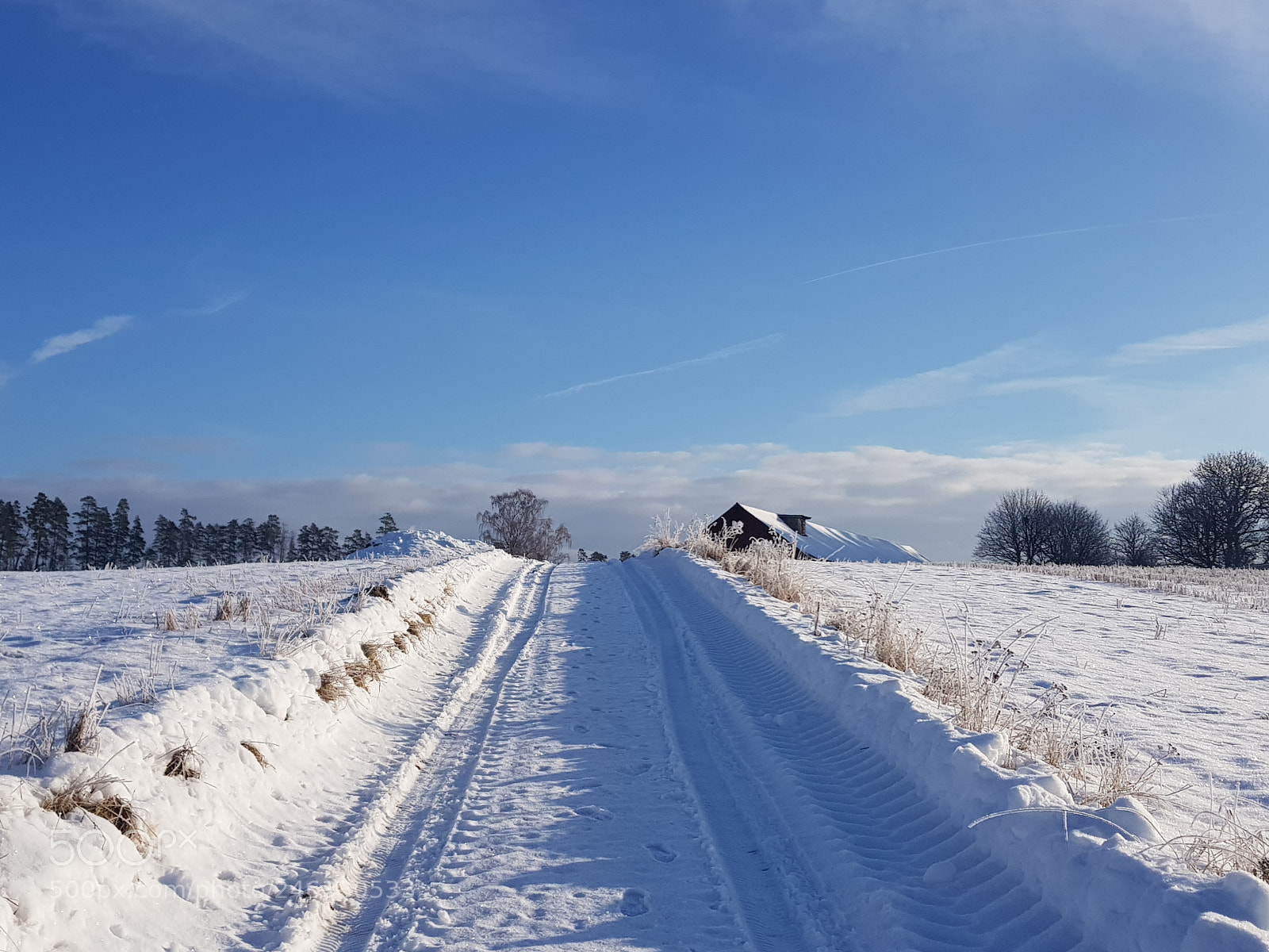 Samsung Galaxy S8 sample photo. Snowland photography