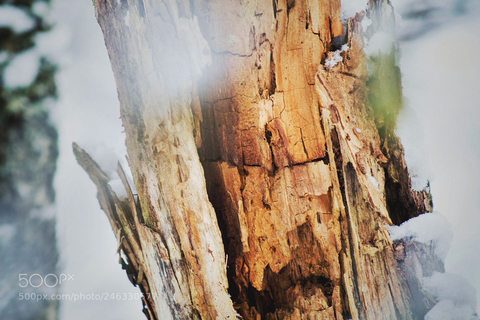Canon EOS 7D sample photo. Life photography