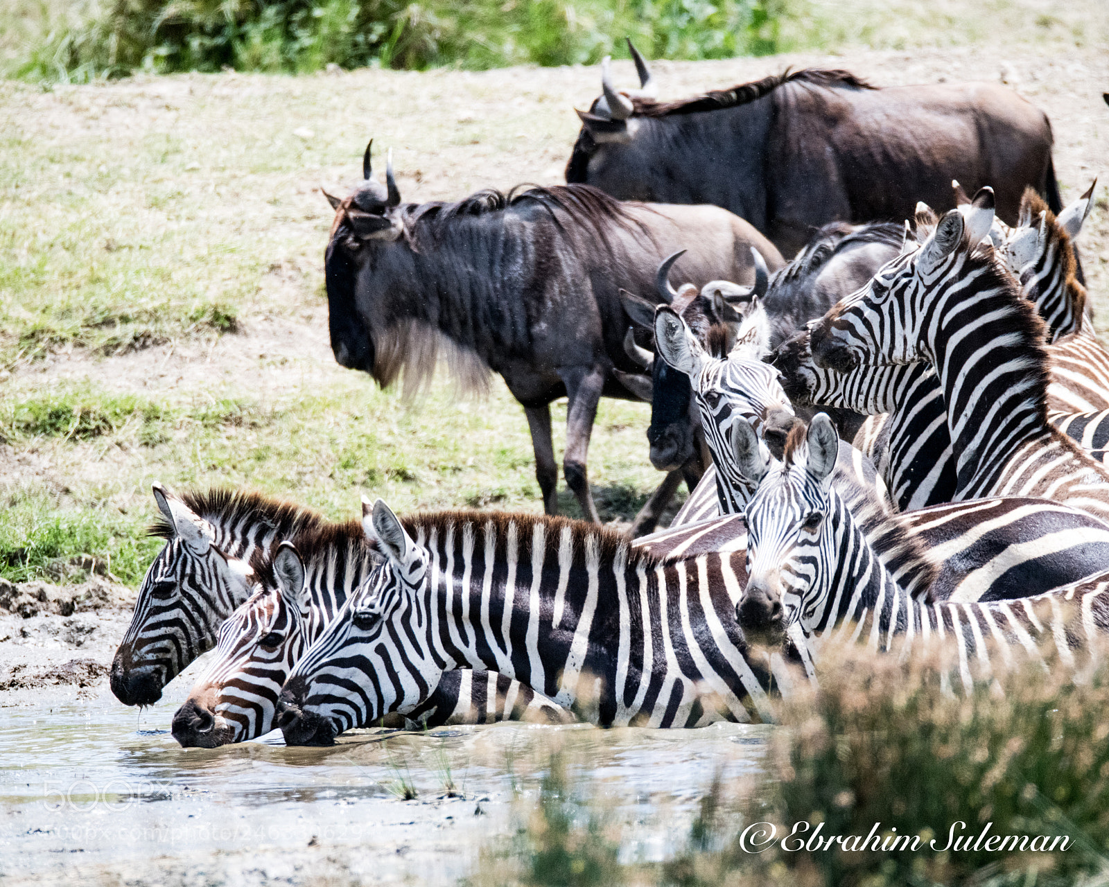 Nikon D850 sample photo. Stripes photography