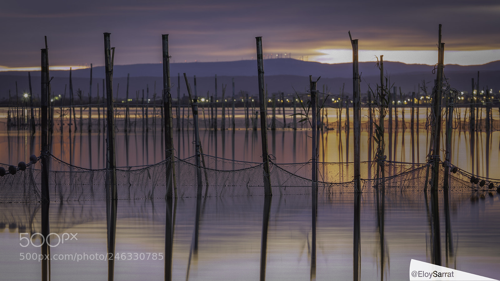 Olympus OM-D E-M5 II sample photo. Sunset in albufera de photography