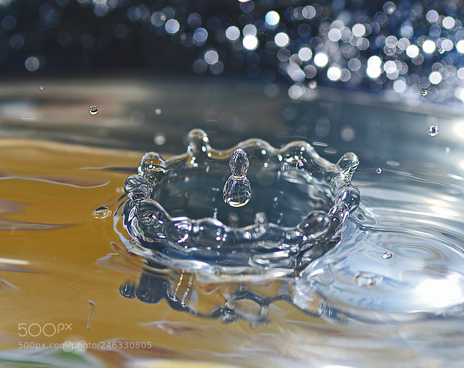 Nikon D800E sample photo. Drop_002 photography