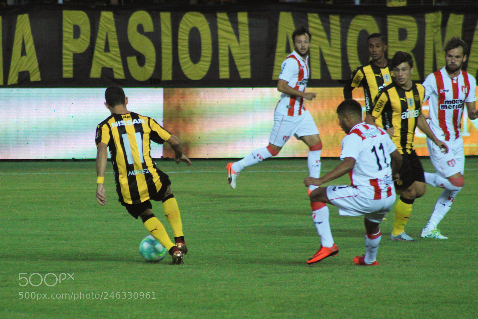 Canon EOS 50D sample photo. Maxi rodriguez trilogy i photography