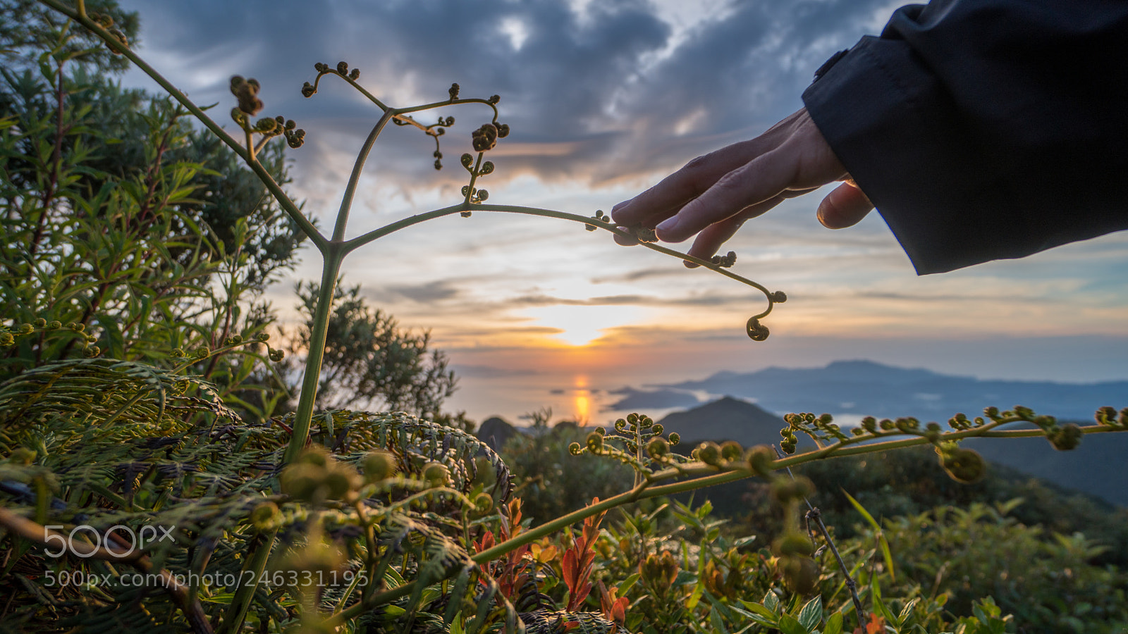 Sony a6500 sample photo. Dsc photography