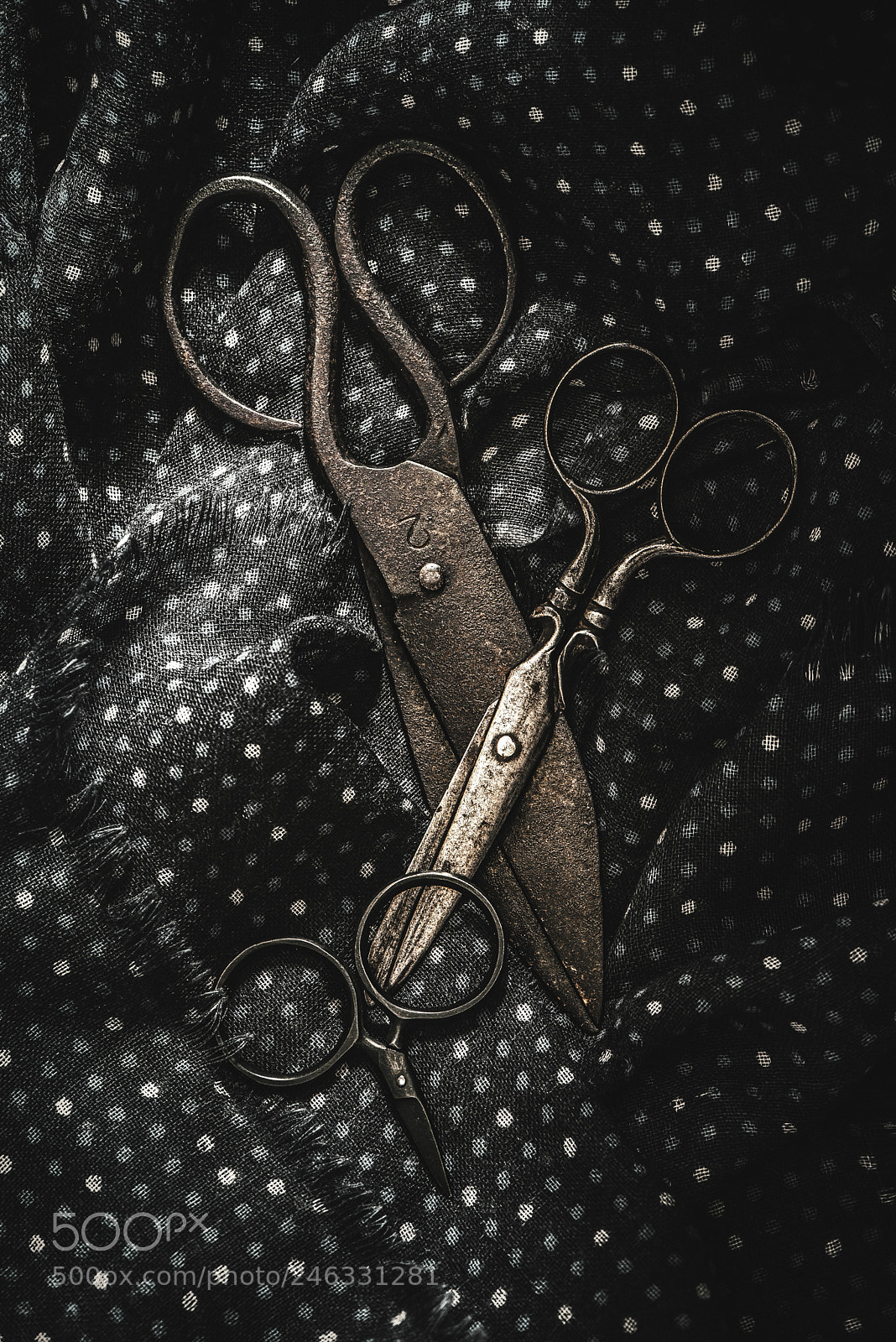 Nikon D600 sample photo. Old scissors photography