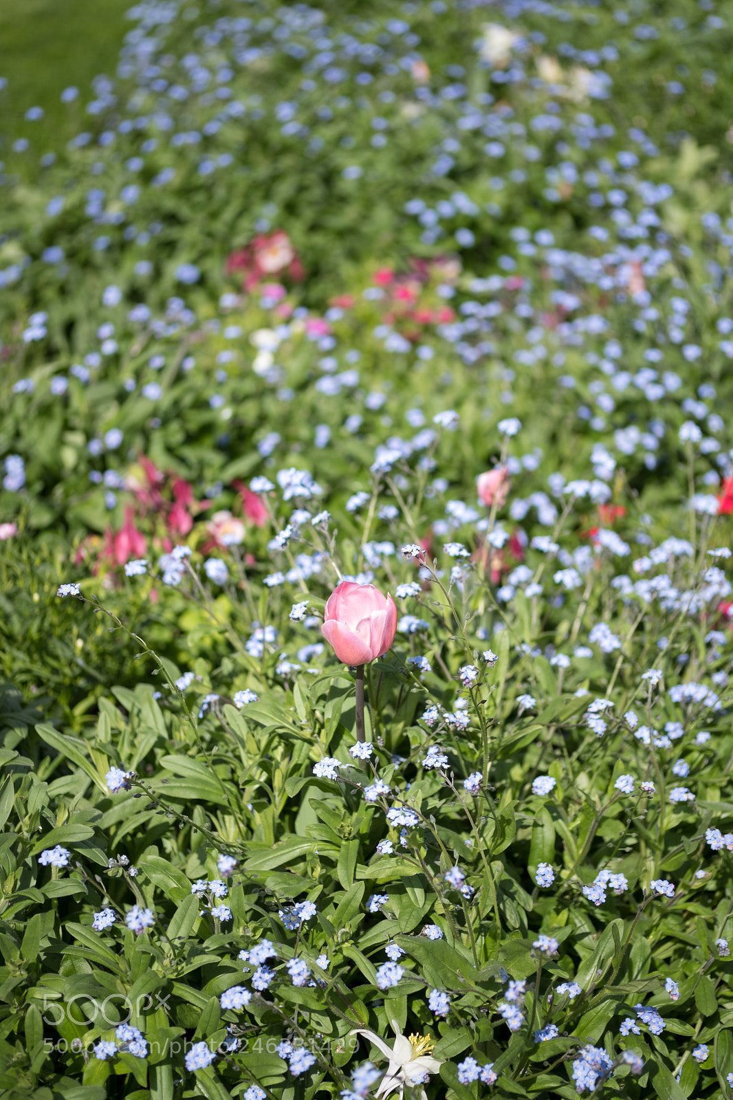 Fujifilm X-T2 sample photo. Standing out photography