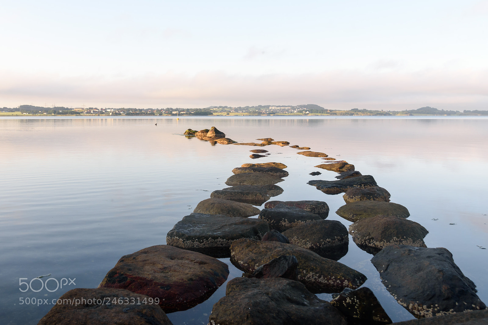 Nikon D5500 sample photo. Stones in a lake photography