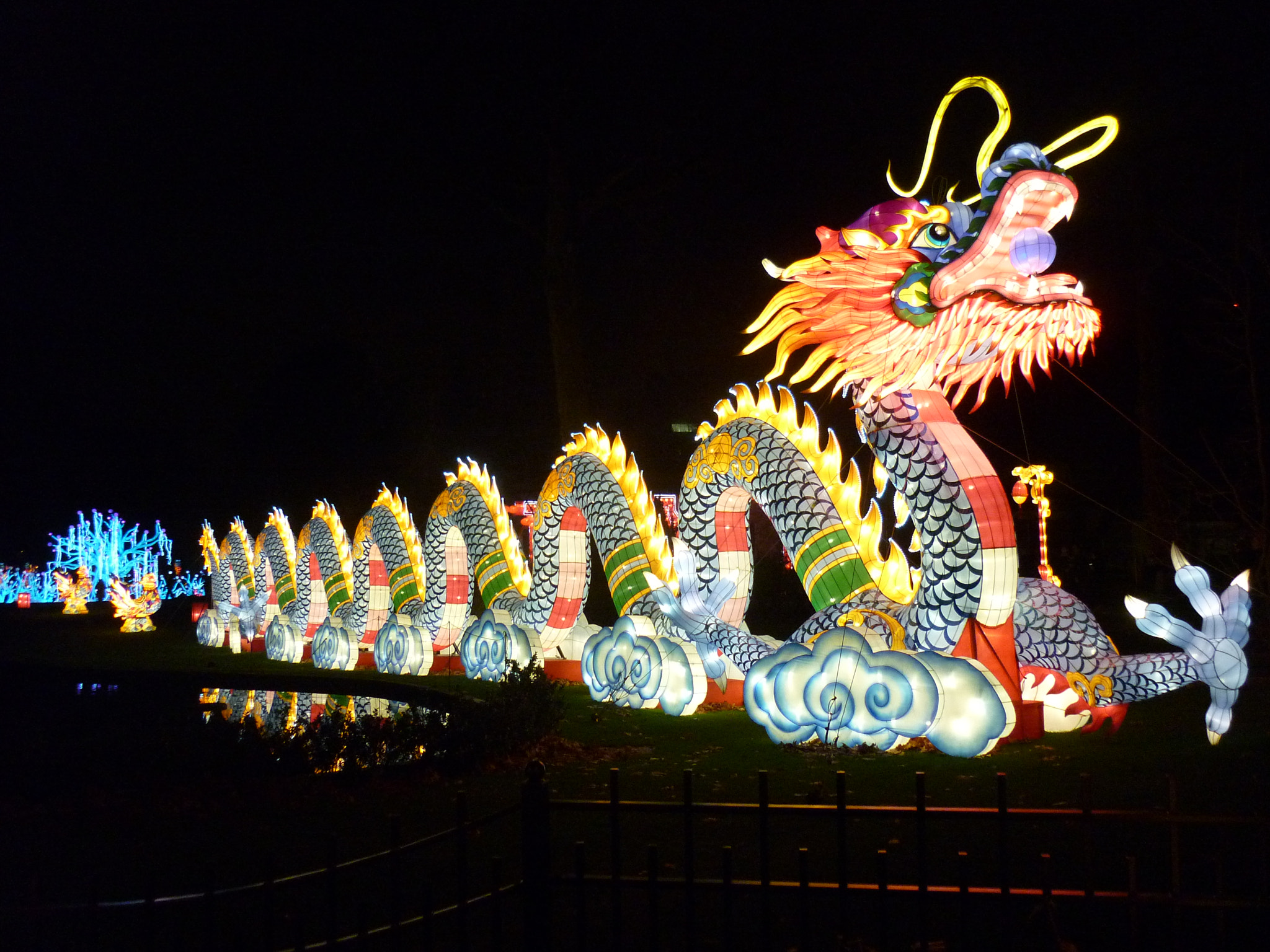 Panasonic DMC-FS42 sample photo. Antwerp zoo chinese dragon photography