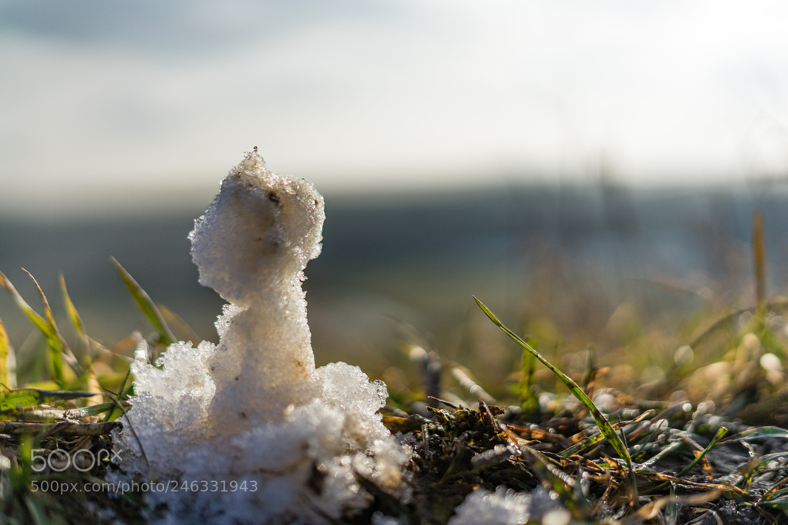 Sony a7 sample photo. Little snowman sitting in photography