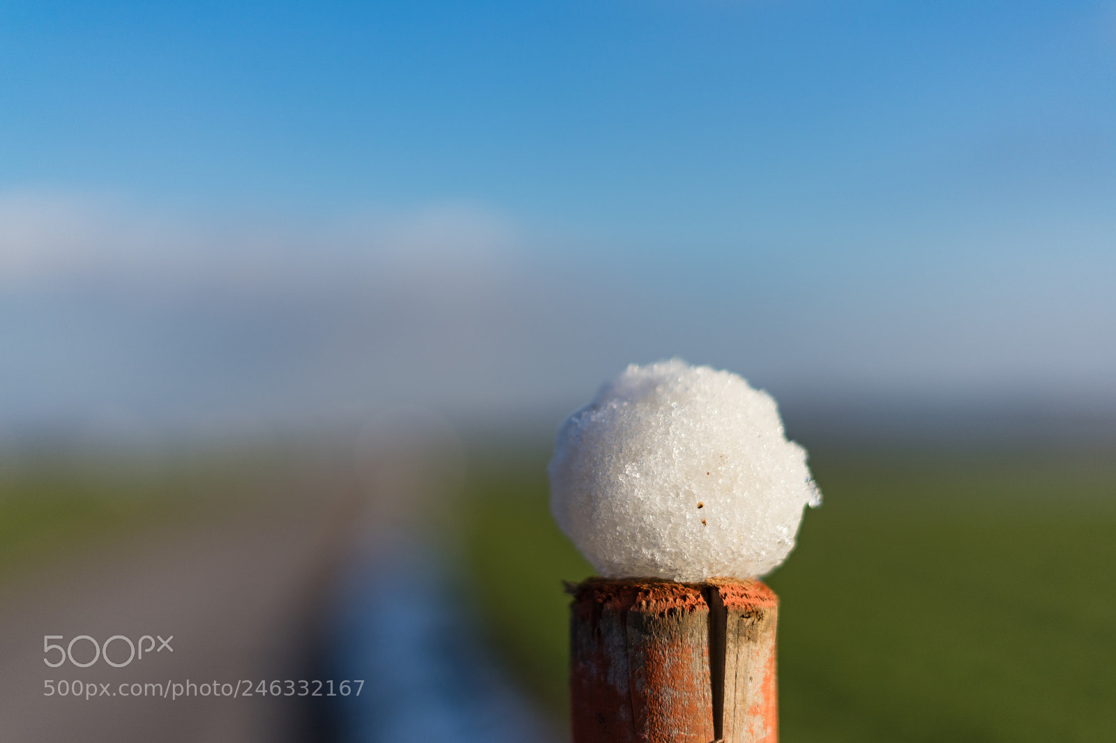 Sony a7 sample photo. Snowball in the sun photography